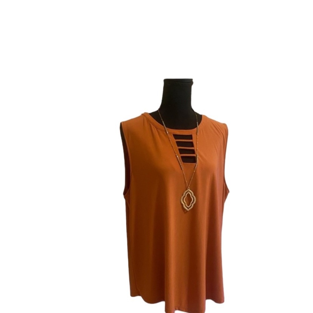 Chaus Blouse in a great  winter color